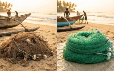 Top 5 Signs It’s Time to Replace Your Fishing Net